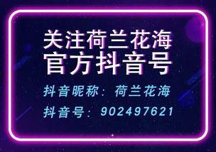 盐城抖音爆料事件最新,揭秘网络舆论背后的真相与争议